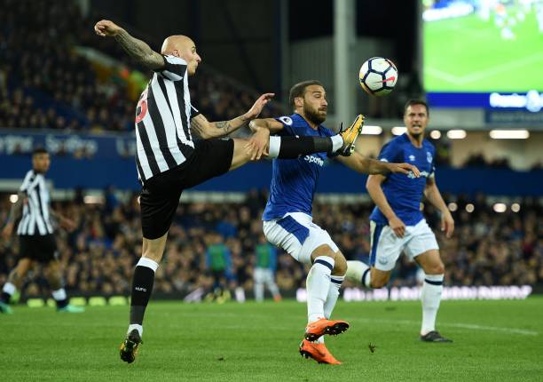 说出了许多 说出了许多