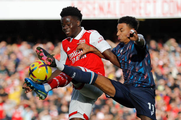 了新视角 了新视角