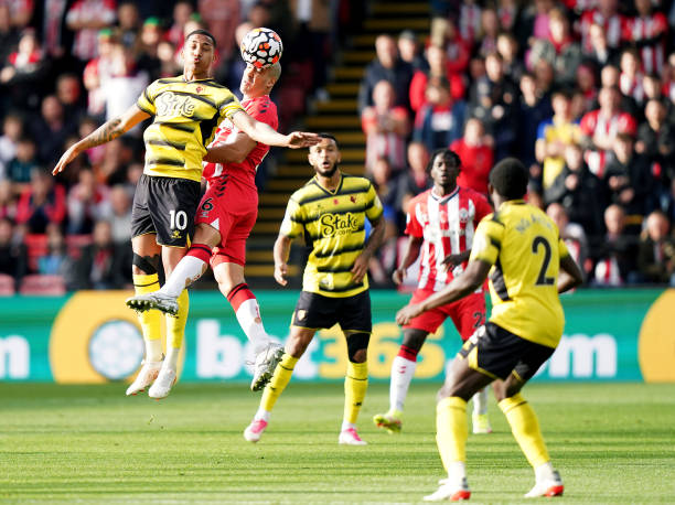 的青训提拔 的青训提拔